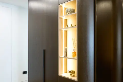 Illuminated display shelves